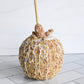 Honey Pecan Gourmet Apple image 0