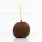 Plain Jane Chocolate Gourmet Apple
