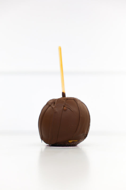 Plain Jane Chocolate Gourmet Apple