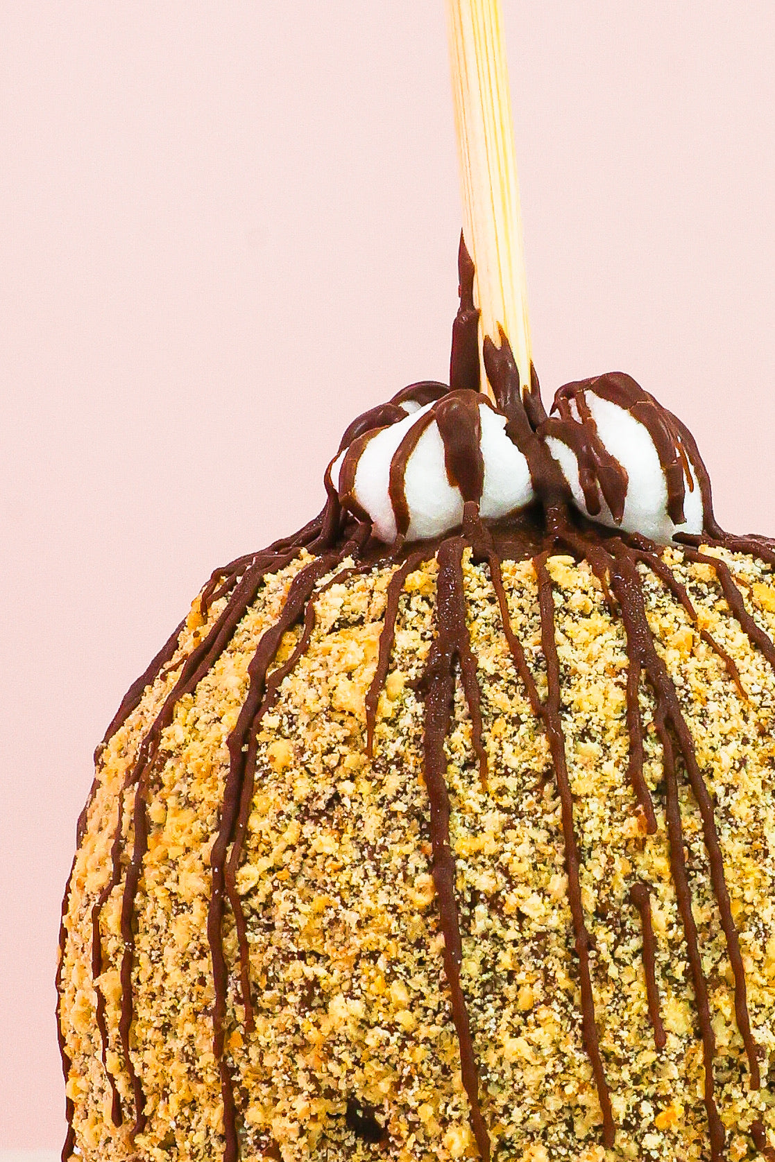 S'more Caramel Gourmet Apple