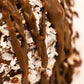 Chocolate Coconut Caramel Apple | Tropical Gourmet Apple Texas