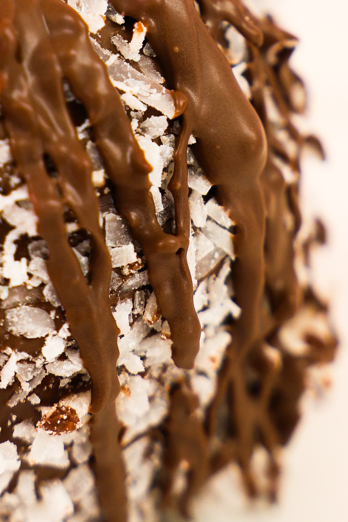 Chocolate Coconut Caramel Apple | Tropical Gourmet Apple Texas