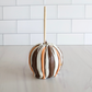 Fall of Chocolate Caramel Apple