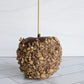 Chocolate Turtle Caramel Gourmet Apple