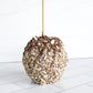 Chocolate Coconut Dream Gourmet Apple